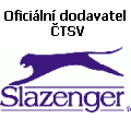 Charakteristika tenisu na vozíku v ČR